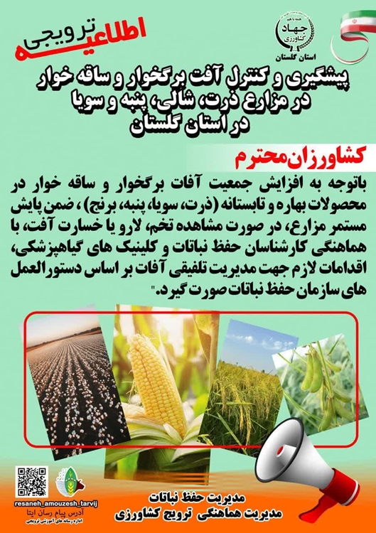 پیشگیری و کنترل برگخوار سویا و پنبه 